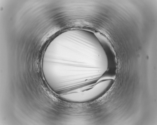 X0000088571018200706221246