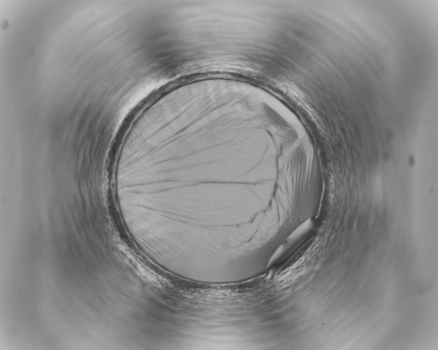 X0000088571024200706221246