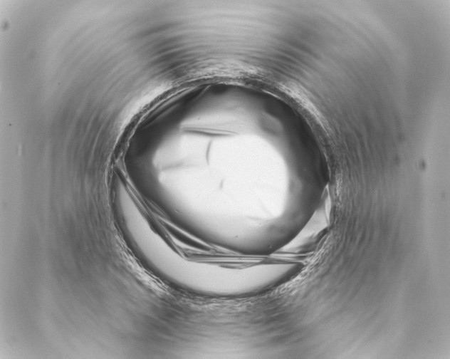 X0000088571026200706221246