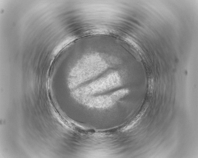 X0000088571034200706221246