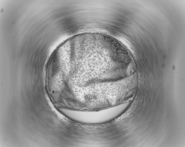 X0000088571046200706221246