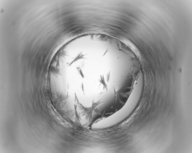 X0000088571052200706221246