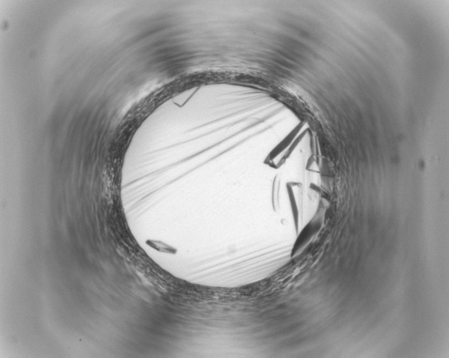 X0000088571064200706221246