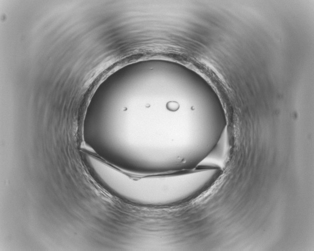 X0000088571065200706221246