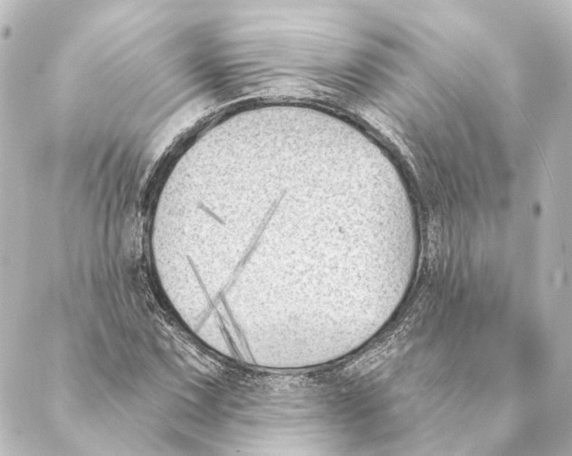 X0000088571067200706221246