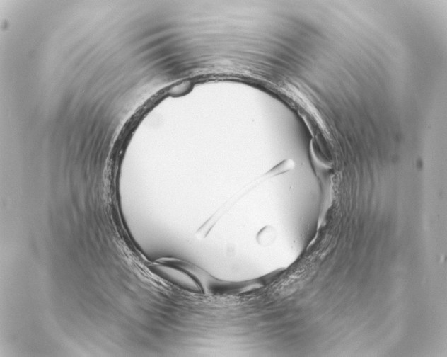 X0000088571068200706221246