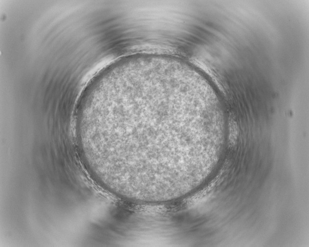 X0000088571074200706221245