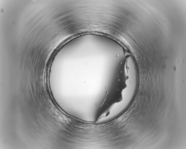 X0000088571076200706221245