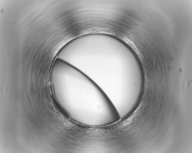 X0000088571081200706221245