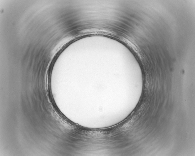 X0000088571082200706221245