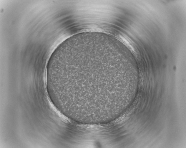 X0000088571084200706221245