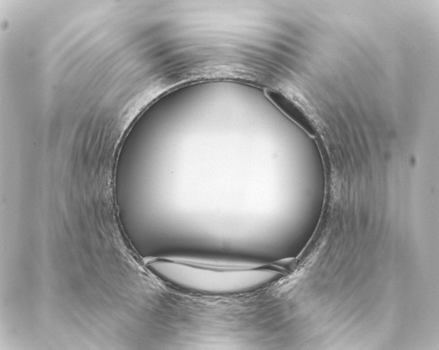 X0000088571089200706221245