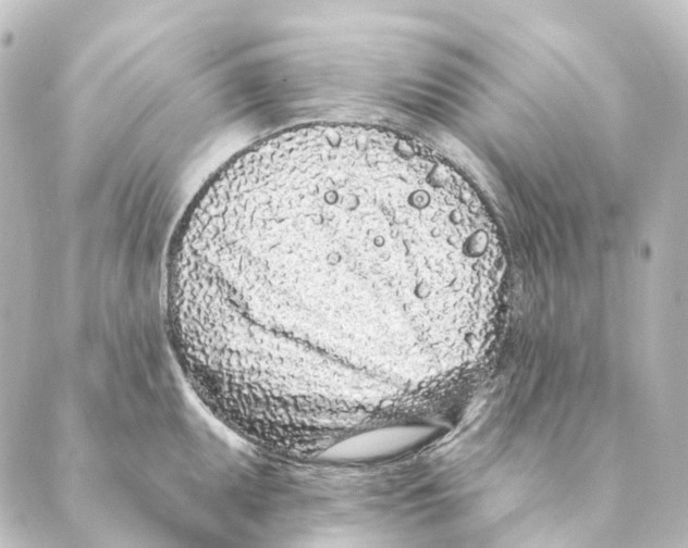 X0000088571095200706221245