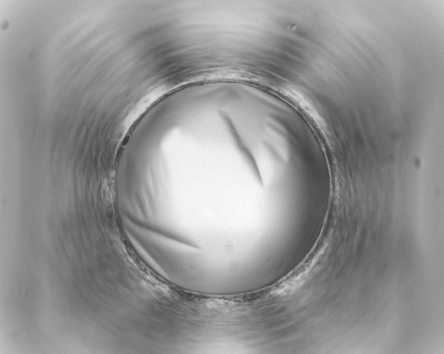 X0000088571097200706221245