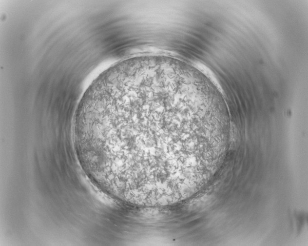 X0000088571098200706221245