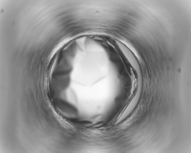 X0000088571101200706221245