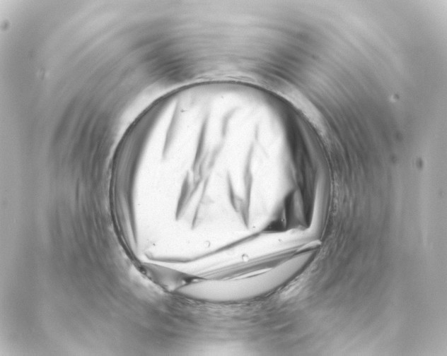 X0000088571102200706221245