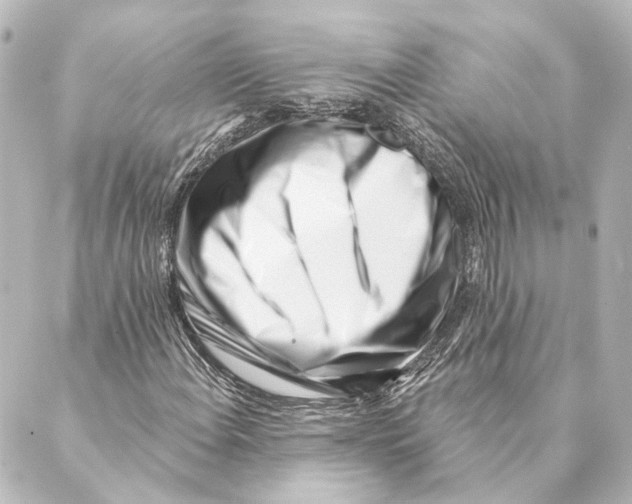 X0000088571108200706221244