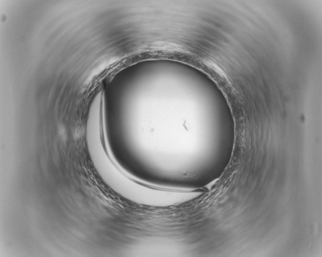 X0000088571112200706221244