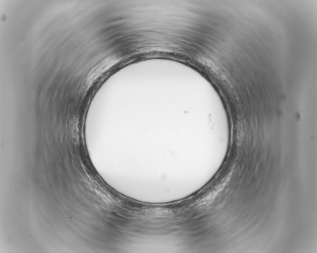 X0000088571113200706221244