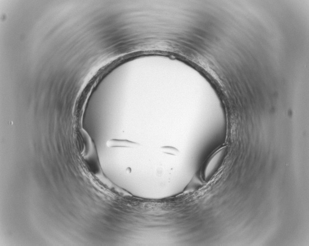 X0000088571116200706221244