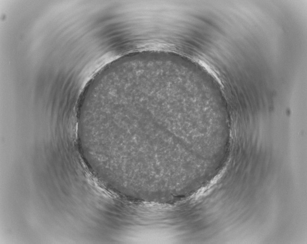 X0000088571117200706221244