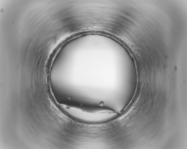 X0000088571118200706221244