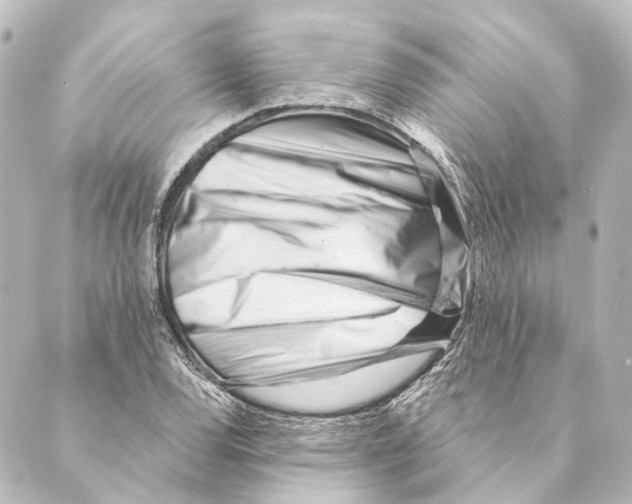 X0000088571120200706221244