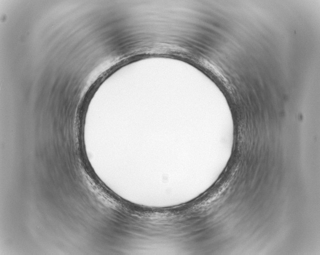 X0000088571122200706221244