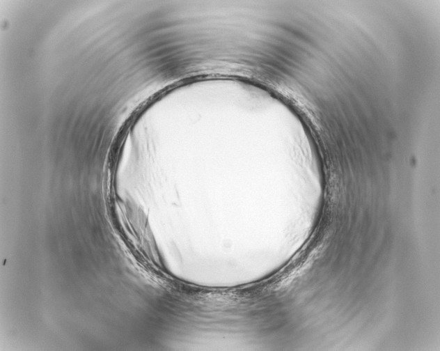 X0000088571125200706221244