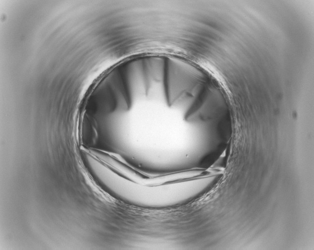 X0000088571128200706221245