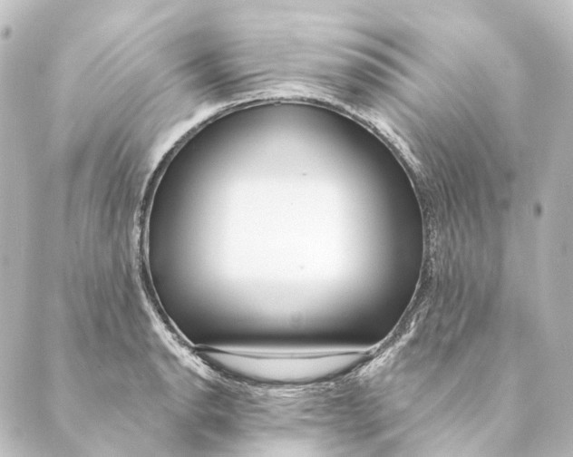 X0000088571134200706221245