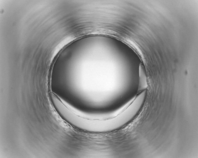 X0000088571138200706221245