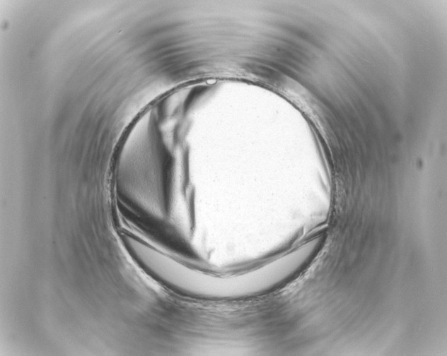 X0000088571141200706221245