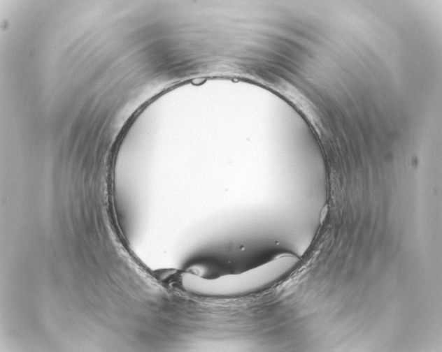 X0000088571142200706221245