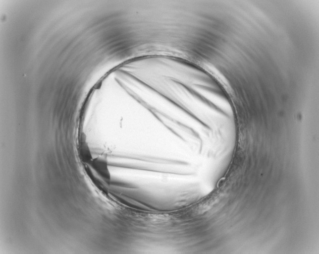 X0000088571144200706221245