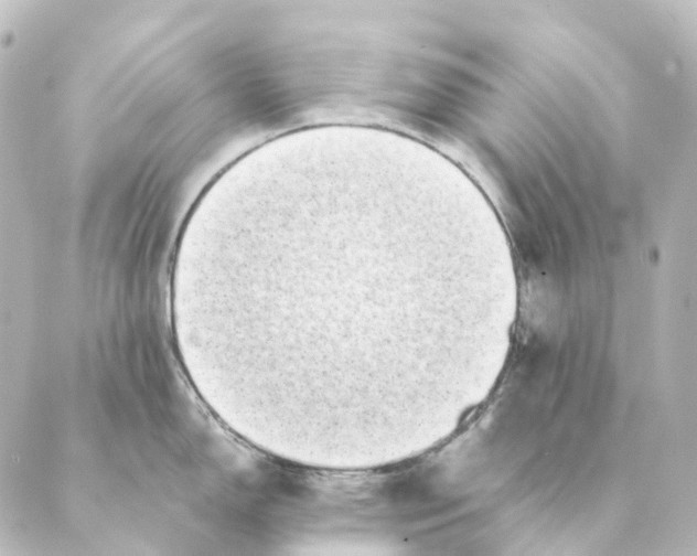 X0000088571150200706221245