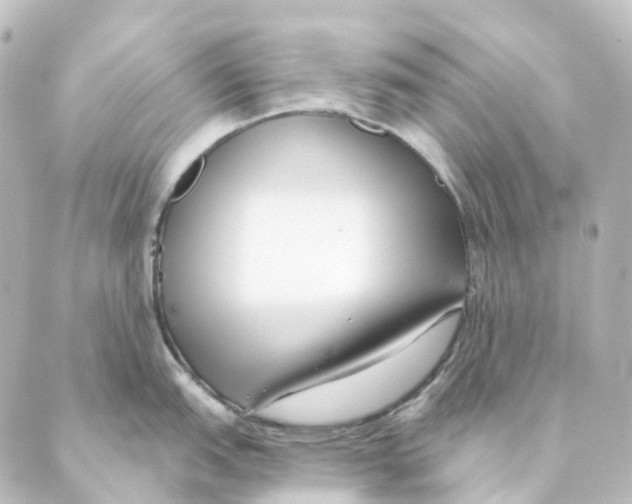 X0000088571151200706221245