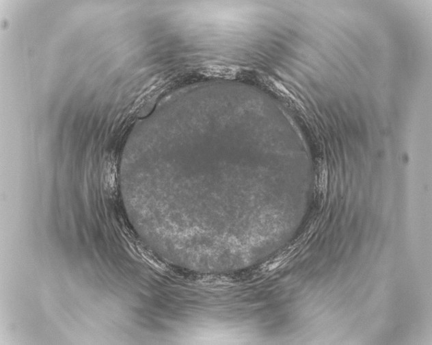X0000088571154200706221244