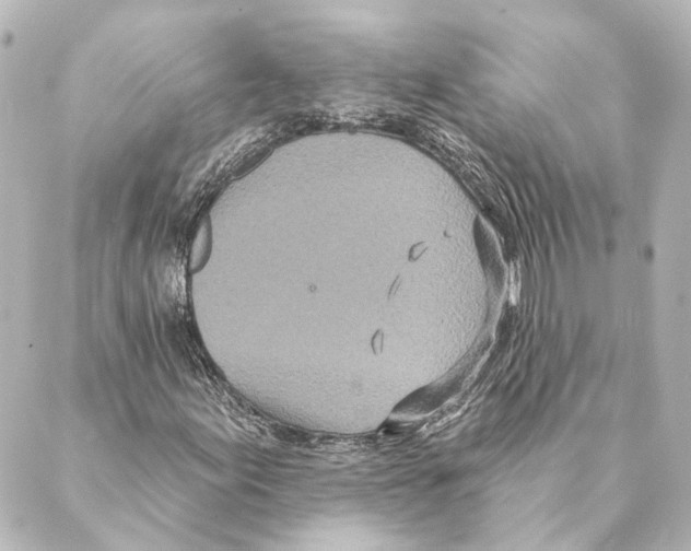 X0000088571155200706221244