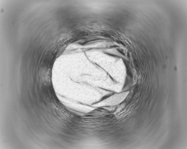X0000088571156200706221244
