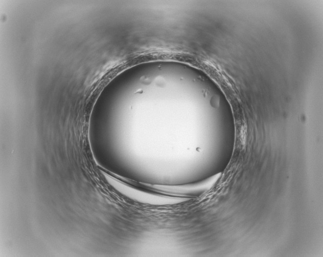 X0000088571157200706221244