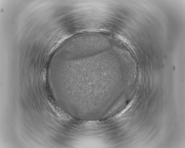 X0000088571161200706221244