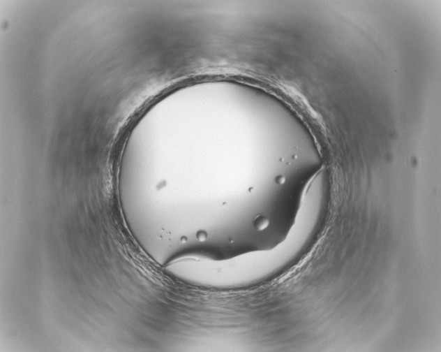 X0000088571167200706221244