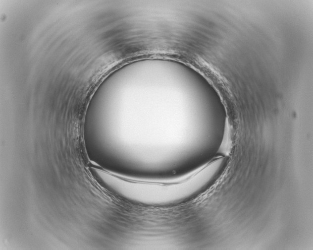 X0000088571169200706221244