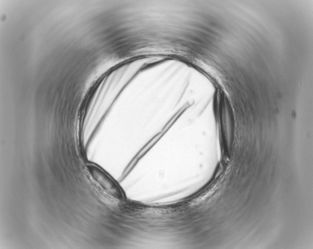 X0000088571179200706221244