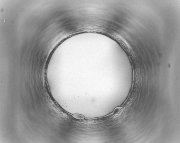 X0000088571182200706221244