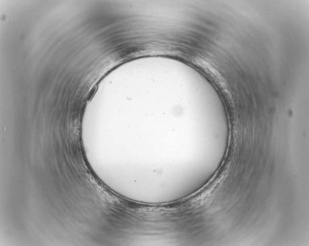 X0000088571185200706221244