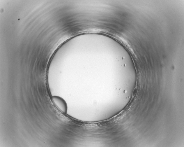 X0000088571186200706221244