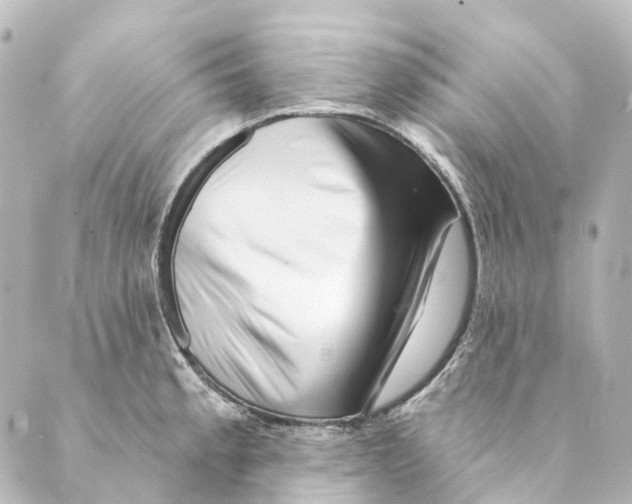 X0000088571189200706221244